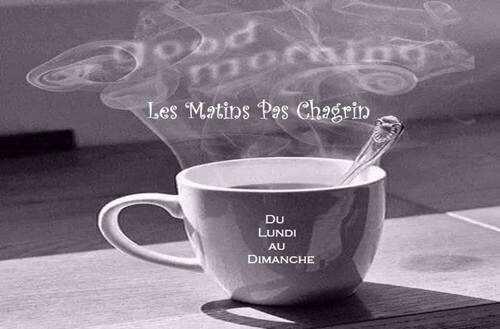 Chronique radio matinale les matins pas chagrin